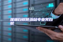 深圳白蟻防治站專業滅白蟻