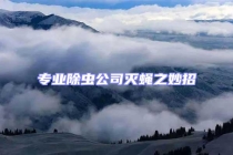 專業除蟲公司滅蠅之妙招