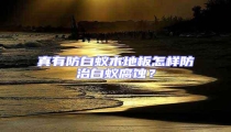 真有防白蟻木地板怎樣防治白蟻腐蝕？