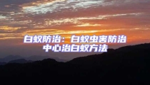 白蟻防治：白蟻蟲害防治中心治白蟻方法