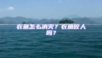 衣魚怎么消滅？衣魚咬人嗎？