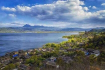 深圳滅螞蟻公司提示如何正確防治螞蟻？