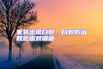 家裝出現白蟻，白蟻防治教您應對措施