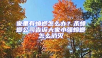 家里有蟑螂怎么辦？殺蟑螂公司告訴大家小強蟑螂怎么消滅