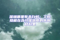 深圳哪里有殺白蟻：工蟻隱藏在含纖維物質的木制材料里