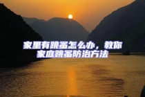 家里有跳蚤怎么辦，教你家庭跳蚤防治方法