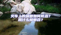 火車上的蟑螂如何防治？用什么蟑螂藥？