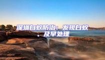 深圳白蟻防治：發現白蟻、及早處理