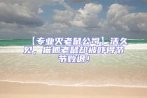 【專業滅老鼠公司】活久見，貓抓老鼠卻被嚇得節節敗退！