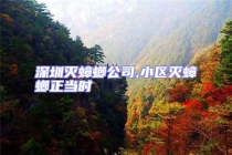 深圳滅蟑螂公司,小區(qū)滅蟑螂正當時