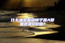 什么血型最招蚊子是A型血還是O型血？
