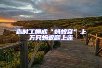 臨時(shí)工棚成“螞蟻窩”上萬只螞蟻爬上床