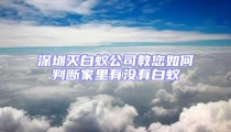 深圳滅白蟻公司教您如何判斷家里有沒有白蟻