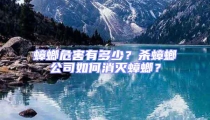 蟑螂危害有多少？殺蟑螂公司如何消滅蟑螂？