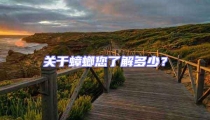 關于蟑螂您了解多少？