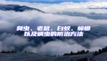 臭蟲、老鼠、白蟻、蟑螂以及螨蟲的防治方法