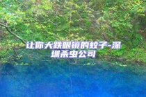 讓你大跌眼鏡的蚊子-深圳殺蟲公司