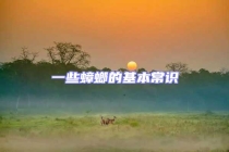 一些蟑螂的基本常識