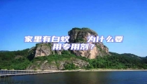 家里有白蟻   為什么要用專用劑？