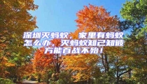 深圳滅螞蟻，家里有螞蟻怎么辦，滅螞蟻知己知彼方能百戰(zhàn)不殆！