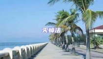 滅蟑法
