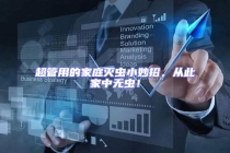 超管用的家庭滅蟲小妙招，從此家中無蟲！