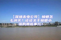 【深圳殺蟲公司】蟑螂怎么消滅？談?wù)勱P(guān)于蟑螂小強的那些事兒！