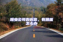 除蟲公司告訴您，有跳蚤怎么辦