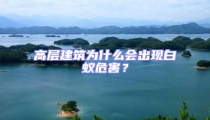 高層建筑為什么會出現白蟻危害？