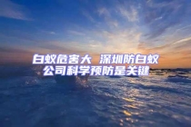 白蟻危害大 深圳防白蟻公司科學(xué)預(yù)防是關(guān)鍵