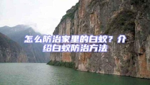 怎么防治家里的白蟻？介紹白蟻防治方法