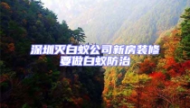 深圳滅白蟻公司新房裝修要做白蟻防治
