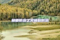 蟑螂防治之滅蟑粉防治