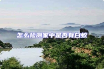 怎么檢測家中是否有白蟻