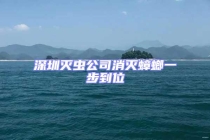 深圳滅蟲(chóng)公司消滅蟑螂一步到位