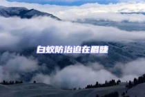 白蟻防治迫在眉睫