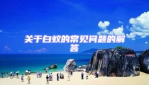 關于白蟻的常見問題的解答