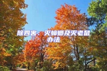 除四害：滅蟑螂及滅老鼠辦法