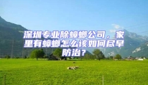 深圳專(zhuān)業(yè)除蟑螂公司，家里有蟑螂怎么該如何盡早防治？