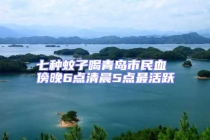 七種蚊子喝青島市民血 傍晚6點(diǎn)清晨5點(diǎn)最活躍