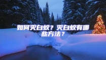 如何滅白蟻？滅白蟻有哪些方法？