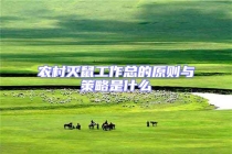 農村滅鼠工作總的原則與策略是什么