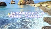 【龍崗殺蟲(chóng)滅鼠公司】白蟻的危害，怎么除白蟻？