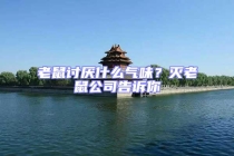 老鼠討厭什么氣味？滅老鼠公司告訴你