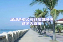 深圳殺蟲公司介紹如何快速消滅跳蚤
