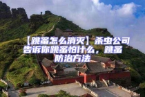 【跳蚤怎么消滅】殺蟲公司告訴你跳蚤怕什么，跳蚤防治方法