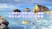 廣州市白蟻防治所：如何阻止白蟻攻擊我們的家園