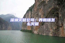 深圳滅鼠公司：養鵝場怎么滅鼠