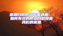 深圳白蟻防治專家講解  如何有效的防治白蟻侵害我們的家園