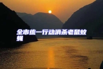 全市統一行動消殺老鼠蚊蠅